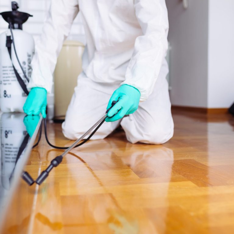 Pest Control How Long Do You Have to Stay Out of Your House After Pest Control