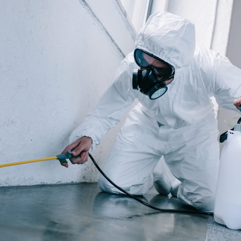 Pest control Solutions Pest control Solutions