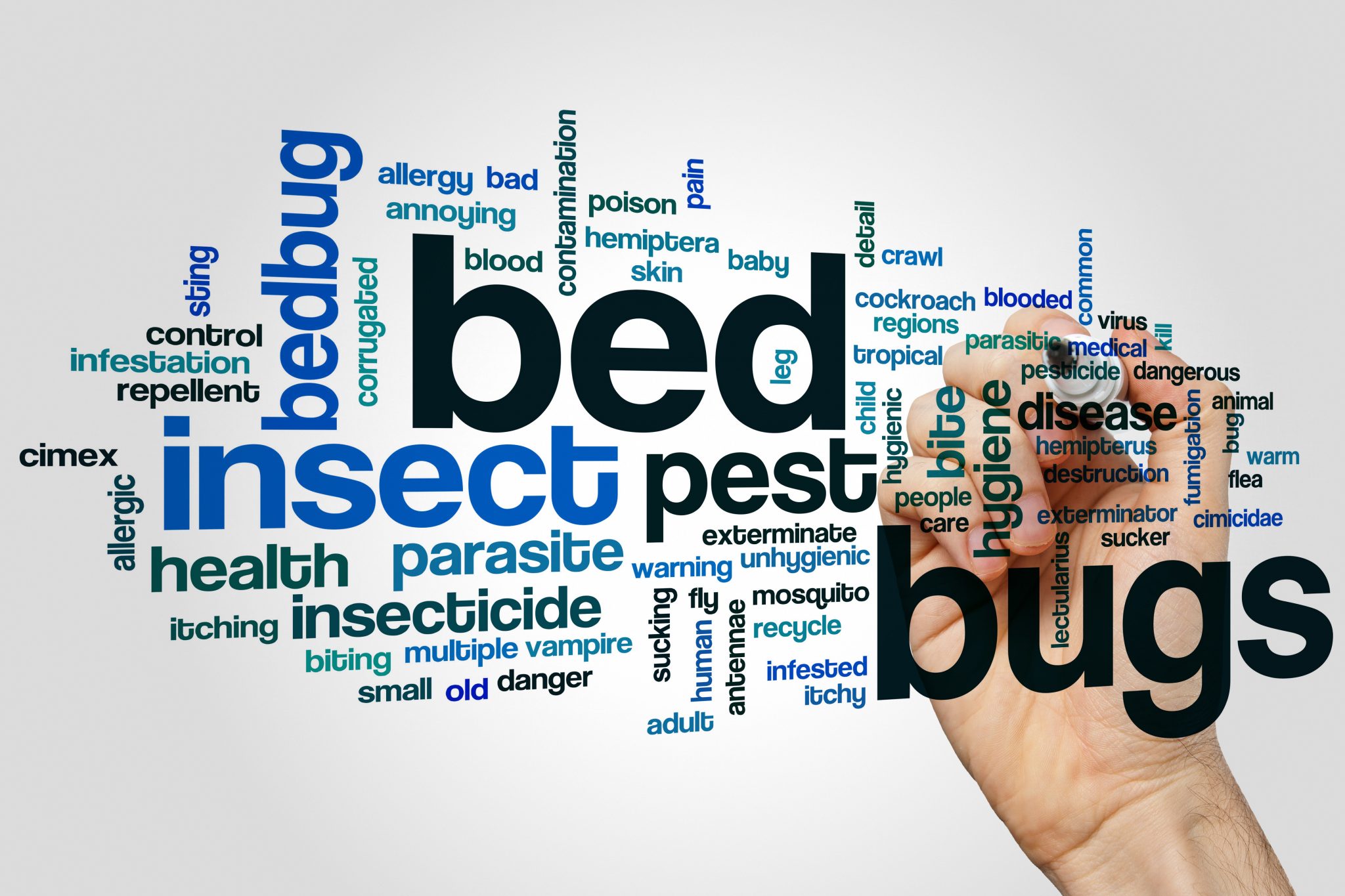How to kill bed bugs?