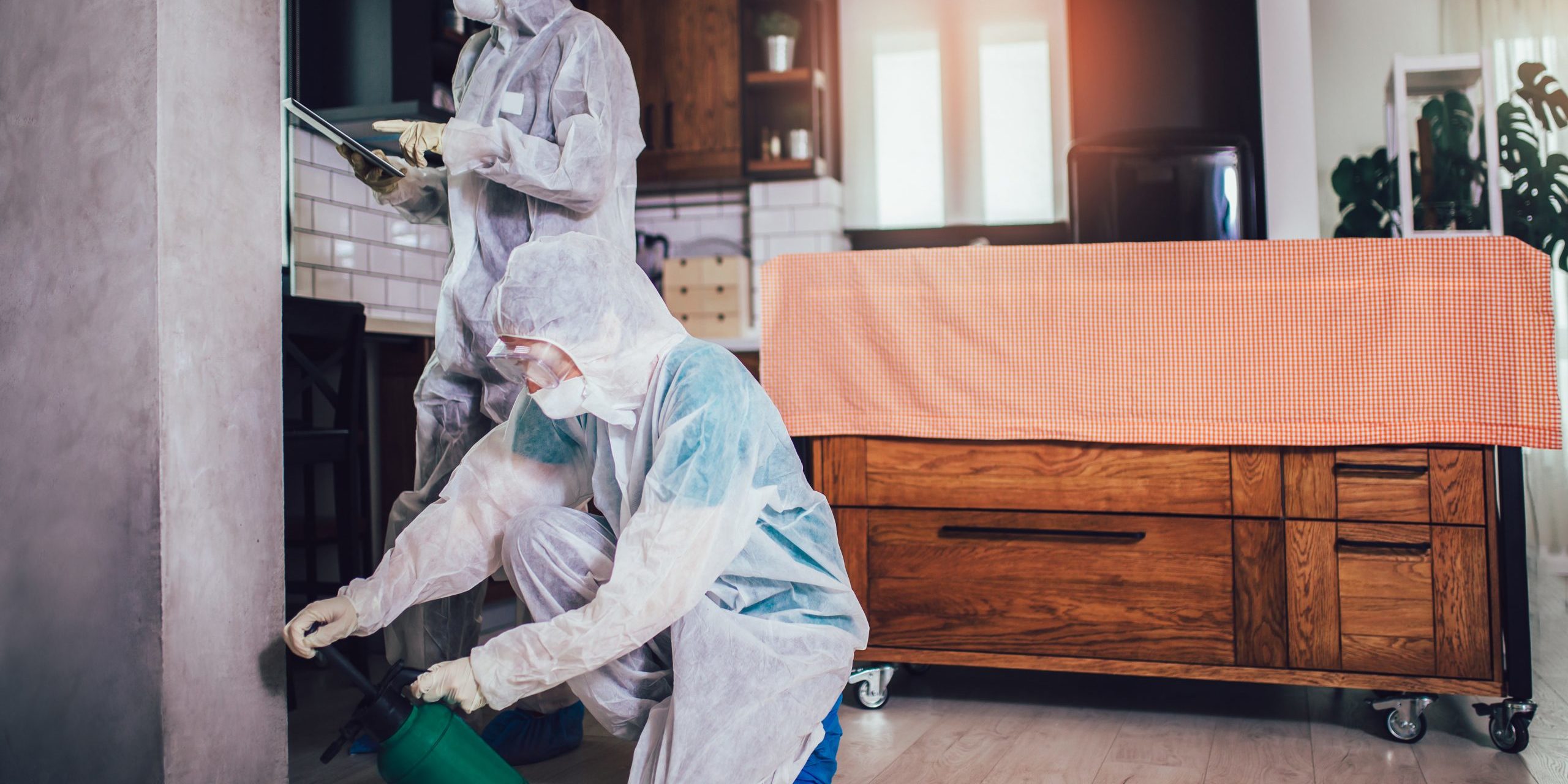 Commercial Pest control Commercial Pest control