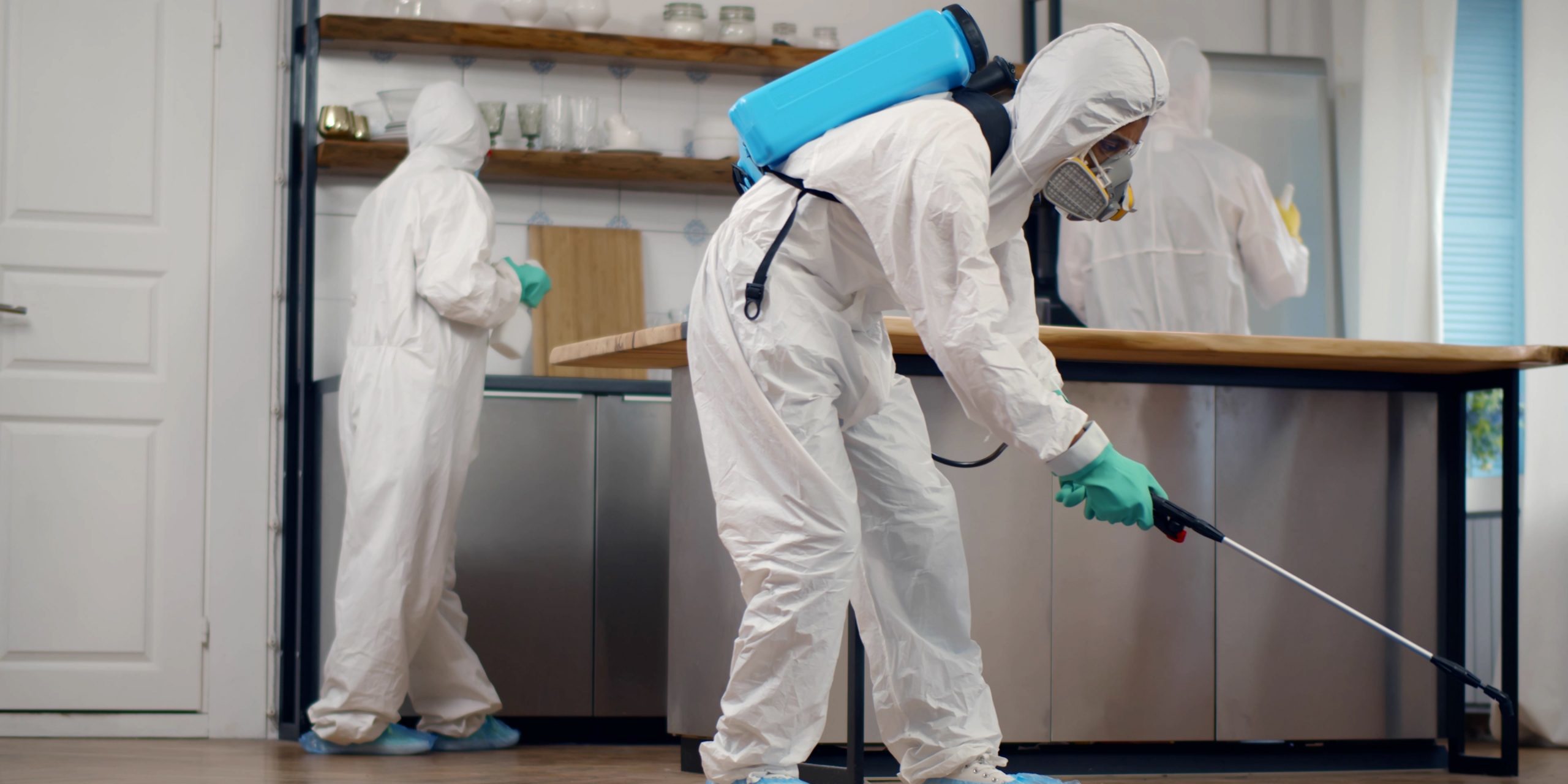 Commercial and Residential Pest control