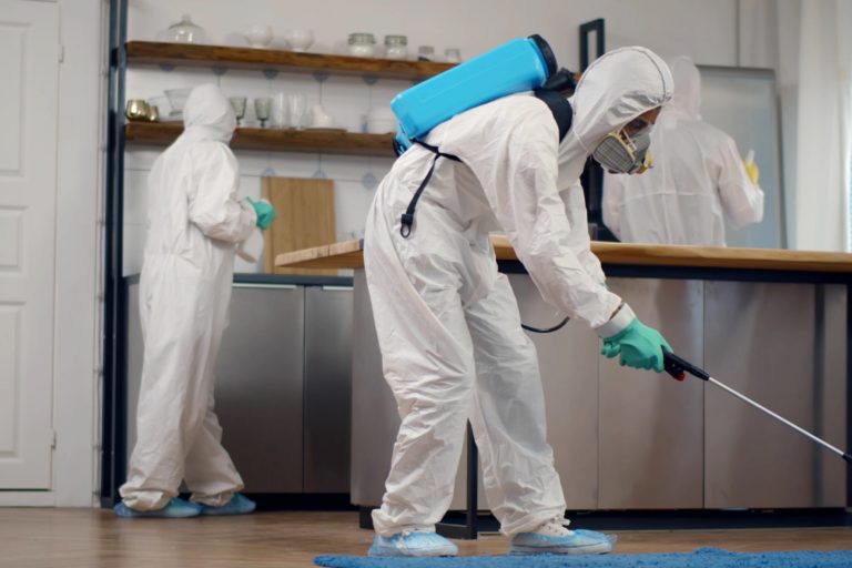 Commercial and Residential Pest control