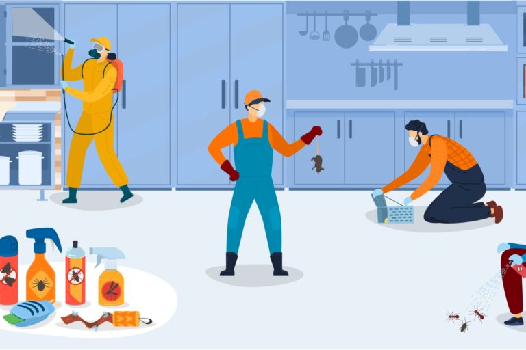 Should We Do Pest Control | Midvale, UT | Hybrid Pest Control