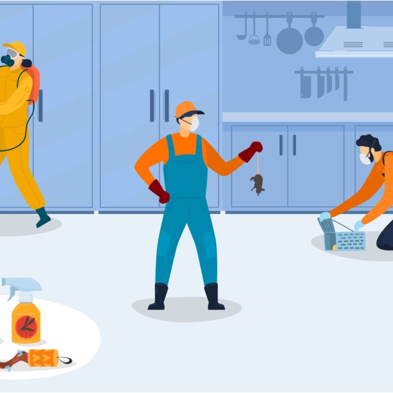 Should We Do Pest Control |  Midvale, UT | Hybrid Pest Control Should We Do Pest Control | Midvale, UT | Hybrid Pest Control