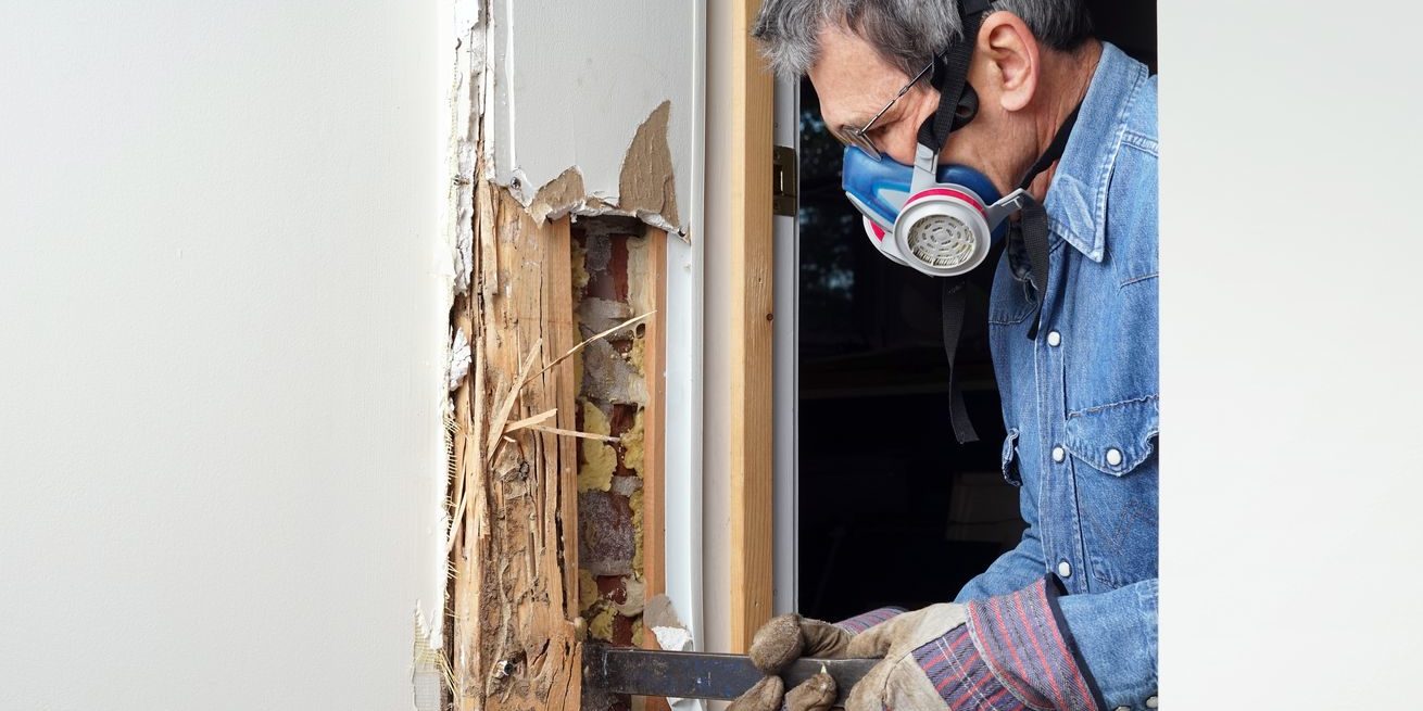 How do you treat Termite infestation | Hybrid Pest Control