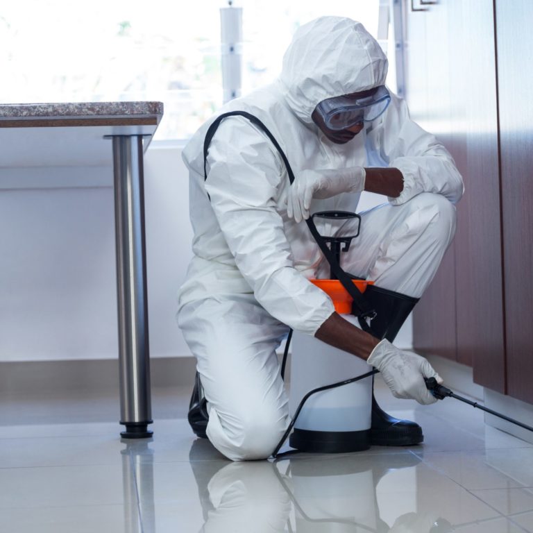 How safe is Pest control spray