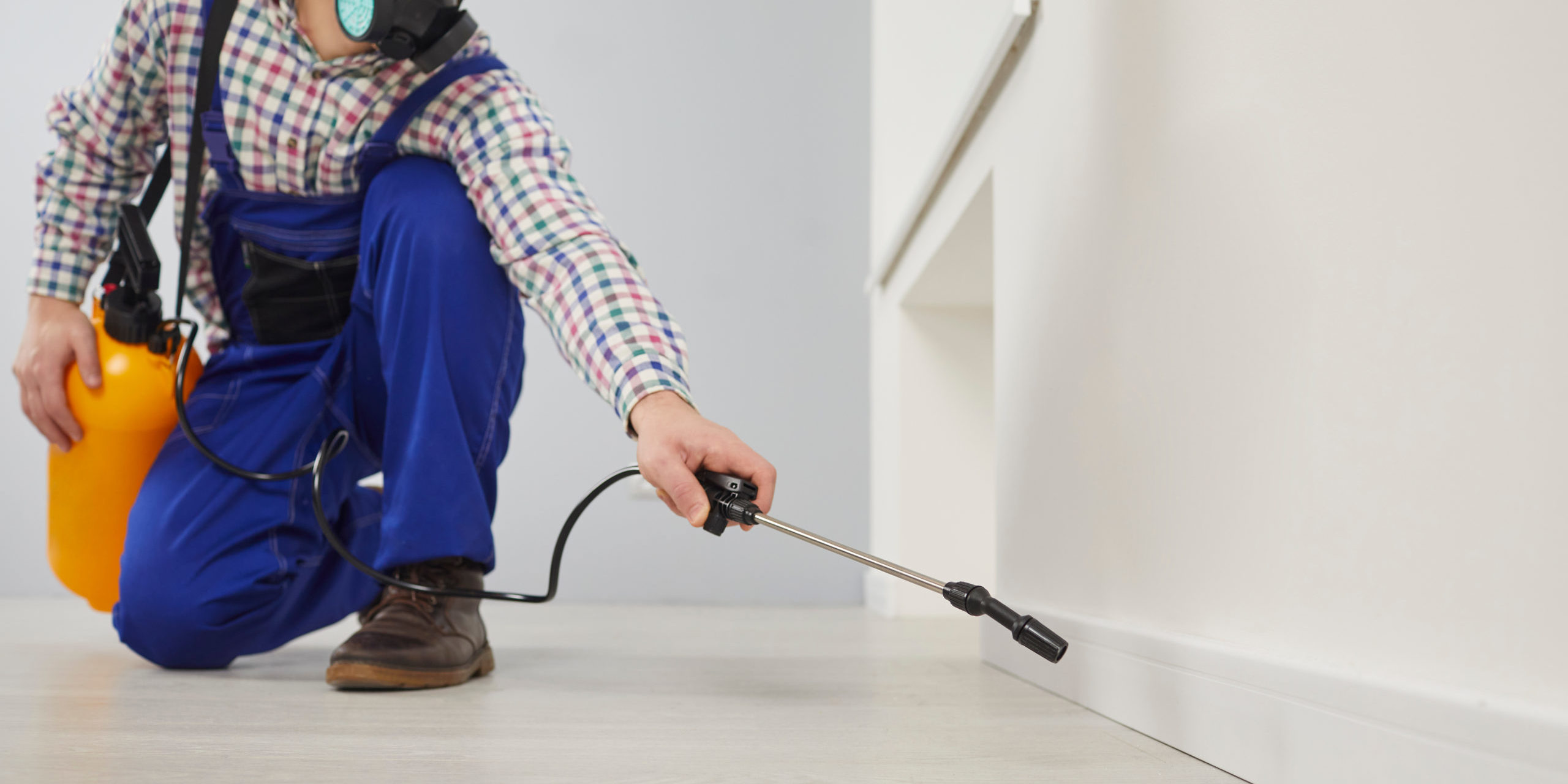 What is the most effective type of termite treatment?