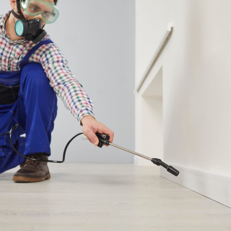 What is the most effective type of termite treatment?