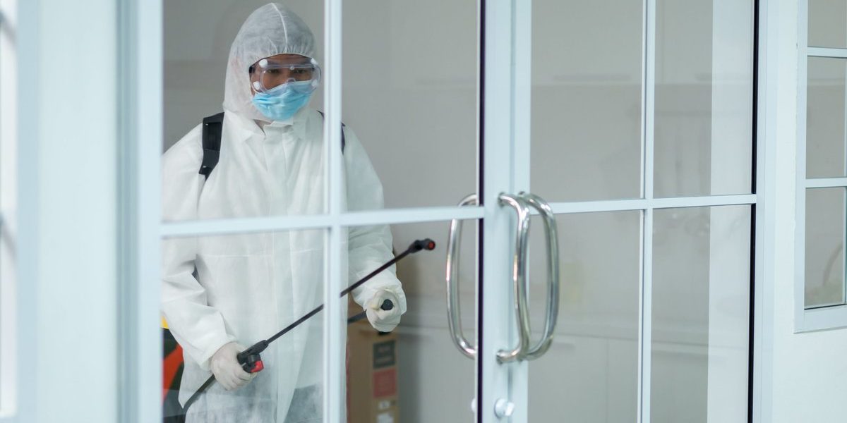 Why It Is A Good Idea To Let A Professional Handle Pest Control