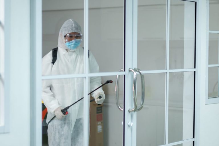 Why It Is A Good Idea To Let A Professional Handle Pest Control