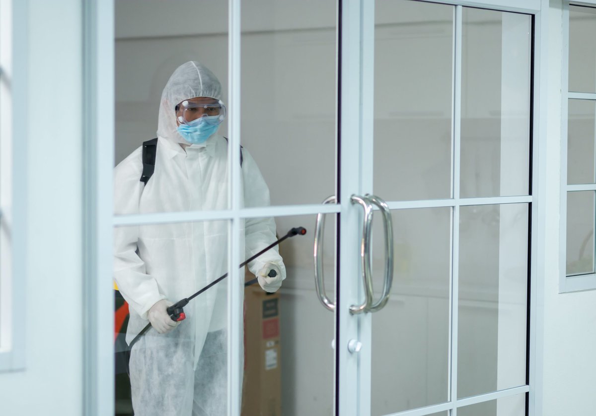 Why It Is A Good Idea To Let A Professional Handle Pest Control