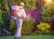 What Are The Qualities Of A Good Pest Control Service