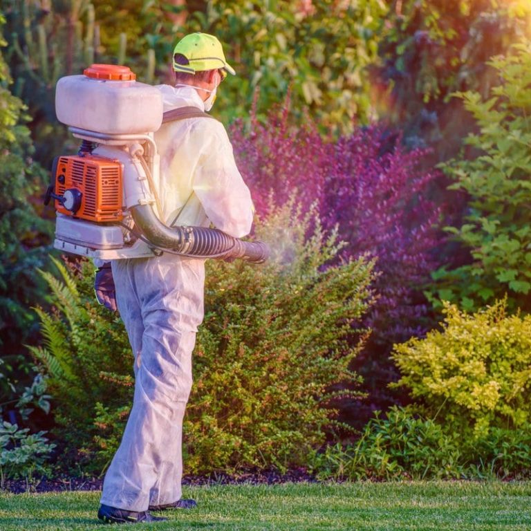 What Are The Qualities Of A Good Pest Control Service What Are The Qualities Of A Good Pest Control Service
