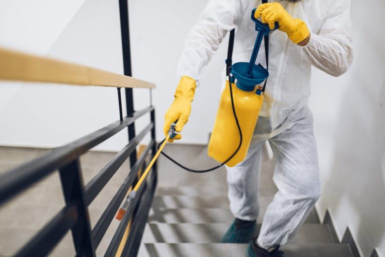 What to Expect from a Residential Pest Control Service A Step-by-Step Guide