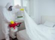 Say Goodbye to Bed Bugs Infestations How Pest Control Can Restore Your Peace