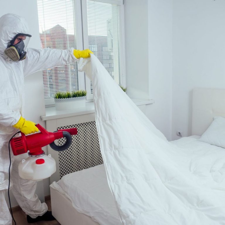 Say Goodbye to Bed Bugs Infestations How Pest Control Can Restore Your Peace Say Goodbye to Bed Bugs Infestations How Pest Control Can Restore Your Peace
