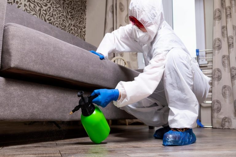 Pest Control Service by Hybrid Pest Control in Midvale SLC
