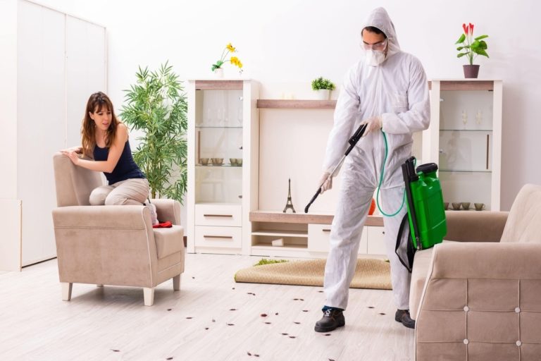 Pest Control Service by Hybrid Pest Control in Midvale UT