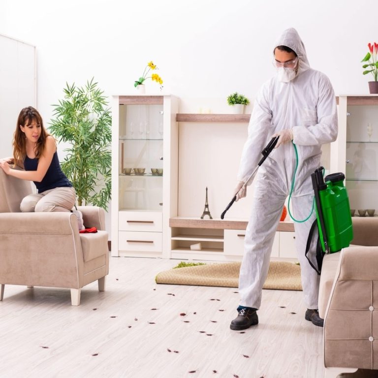 Pest Control Service by Hybrid Pest Control in Midvale UT Pest Control Service by Hybrid Pest Control in Midvale UT