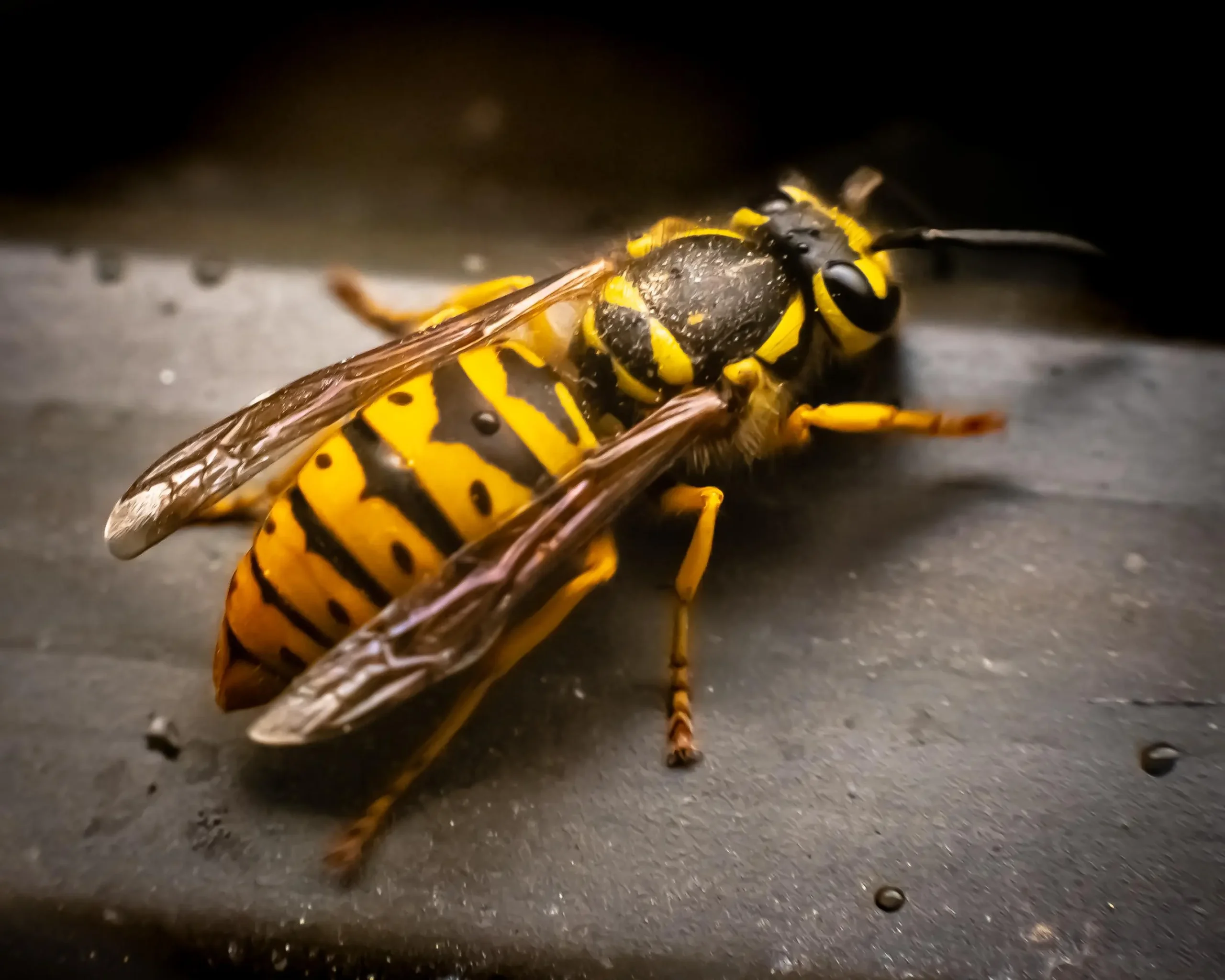 AdobeStock 291213013 scaled