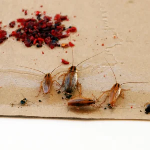 AdobeStock 757794761 scaled